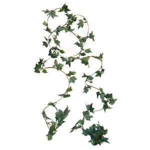 RTD-1648 : Ivy Garland - 12 foot Vine at Zoo Animal Party . com