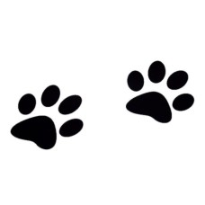 Large Paw Print Floor Decal Clings