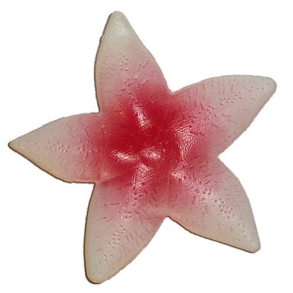 Plastic Starfish Decoration 7 Inch Nautical Beach Luau Ocean Theme Party Prop