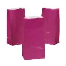 12-Pack Fuchsia Hot Pink Paper Treat Bags
