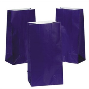 RTD-2319 : Purple Paper Treat Bags at Zoo Animal Party . com