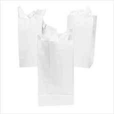 White Paper Treat Bags