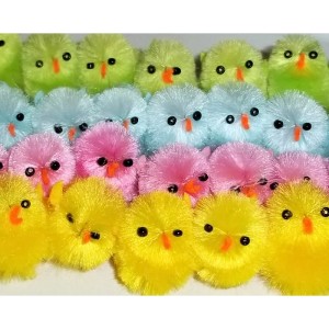 RTD-2699 : Fuzzy Soft Colored Baby Chicks at Zoo Animal Party . com