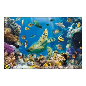 RTD-2815 : Undersea Ocean Backdrop Banner at Zoo Animal Party . com