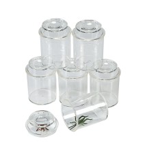 Plastic See-Through Bug Jar with Magnifier Lid