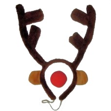 Rudolph the Red-Nosed Reindeer Antlers and Nose Set